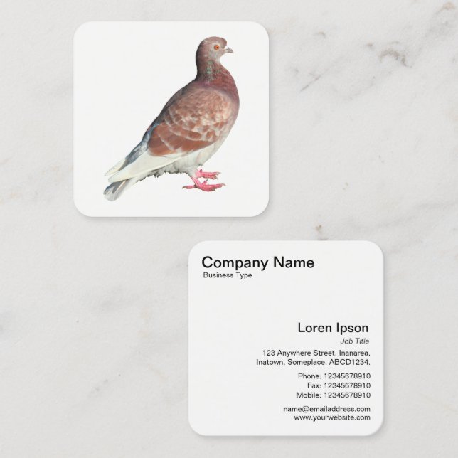 Tarjeta De Visita Cuadrada Pigión Rojo (Anverso / Reverso)
