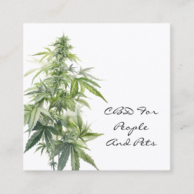 Tarjeta De Visita Cuadrada Planta de acuarela CBD (Anverso)