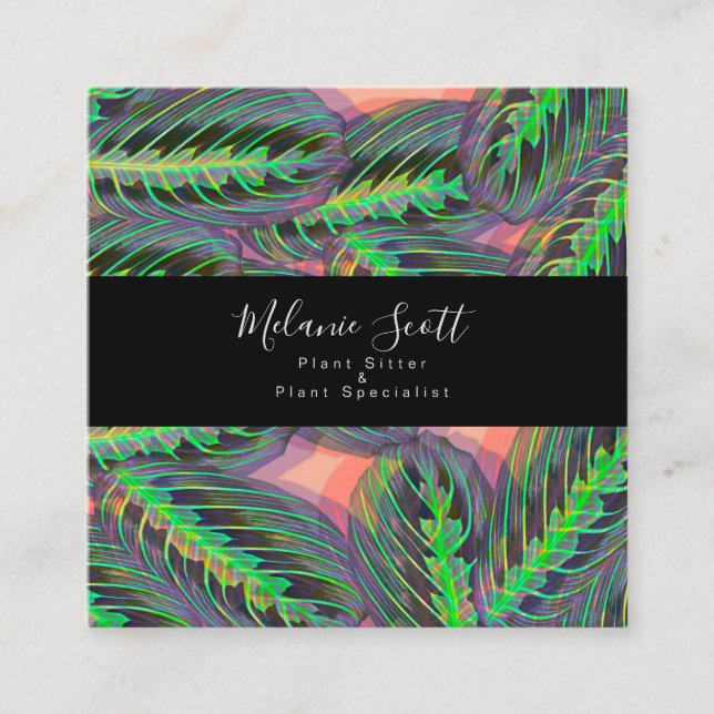 Tarjeta De Visita Cuadrada Planta Maranta Oración Ilustracion Calateo (Anverso)