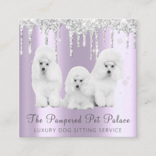 Tarjeta De Visita Cuadrada Purpurina Glam Lavender Perforaciones Estaciado Ma