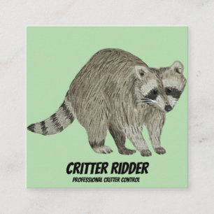 Tarjeta De Visita Cuadrada Raccoon