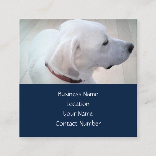 Tarjeta De Visita Cuadrada Regal Cute Blanco Labrador Mezcla Perfil de Perro  (Anverso)