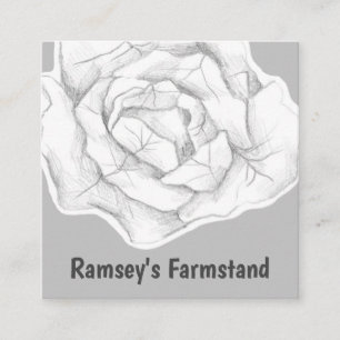 Tarjeta De Visita Cuadrada Repollo de granja Vegetable Productos frescos