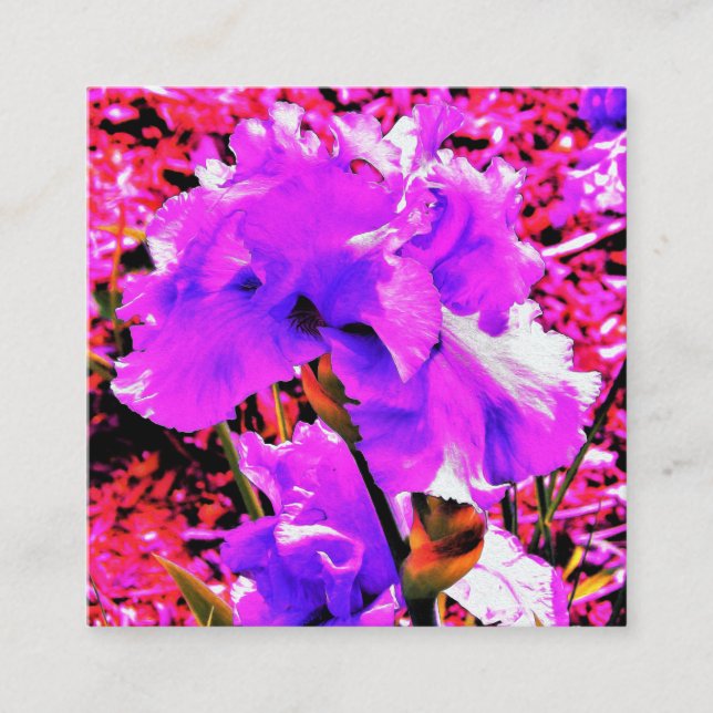 Tarjeta De Visita Cuadrada Resumen de iris morado ultravioleta sobre rojo (Anverso)