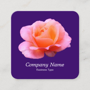 Tarjeta De Visita Cuadrada Rosa rosa - Púrpura profundo