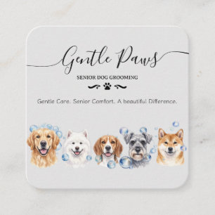 Tarjeta De Visita Cuadrada Salón de Peluquería para Mascotas Mayores Perros