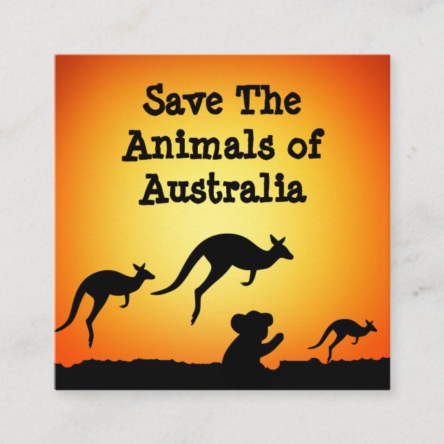 Tarjeta De Visita Cuadrada Salvemos a los animales de Australia (Anverso)