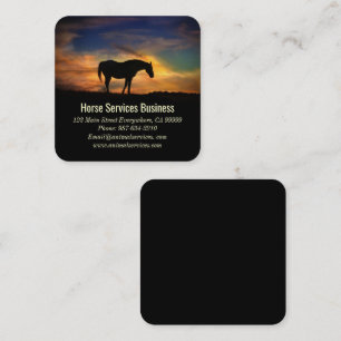 Tarjeta De Visita Cuadrada Servicios de caballos o auto equino veterinario pa