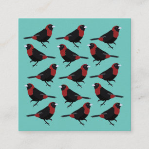 Tarjeta De Visita Cuadrada Songbird de Tanager color rojo negro con crimson