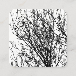 Tarjeta De Visita Cuadrada Starlings in a Tree - Black on White