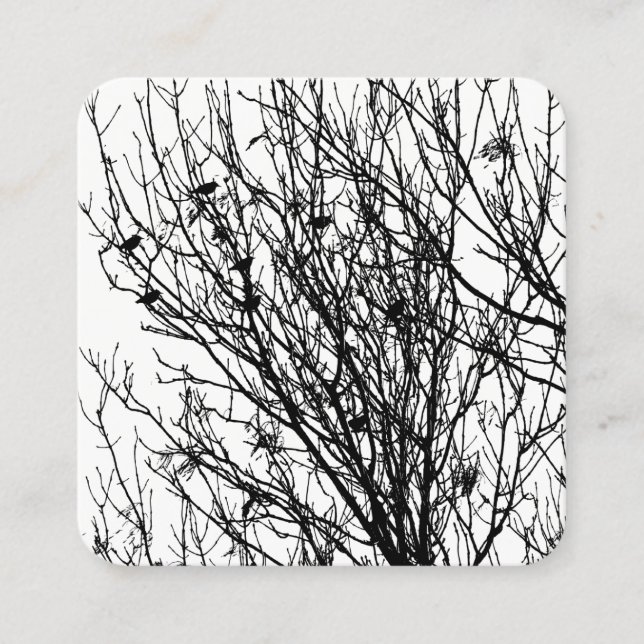 Tarjeta De Visita Cuadrada Starlings in a Tree - Black on White (Anverso)
