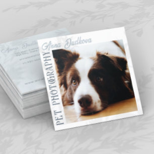 Tarjeta De Visita Cuadrada Tarjeta de presentación cuadrada de Mascota de bor