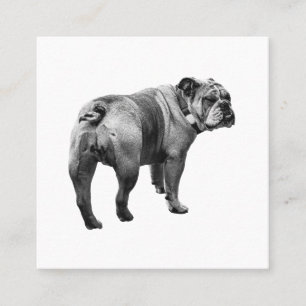 Tarjeta De Visita Cuadrada Toro Bulldog Tranquilo, Emblema Suave