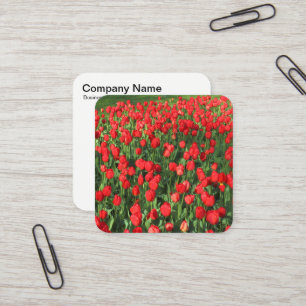 Tarjeta De Visita Cuadrada Tulipanes Rojos