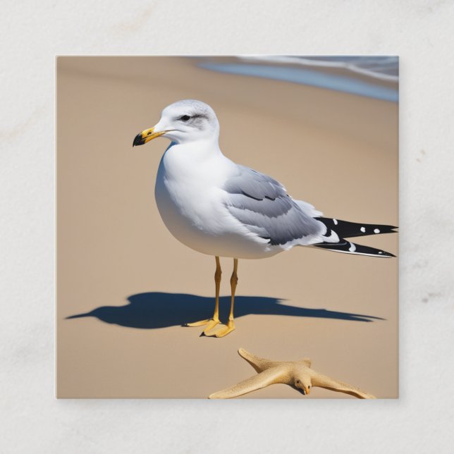 Tarjeta De Visita Cuadrada Una pequeña gaviota en una playa de bonito rodeada (Anverso)