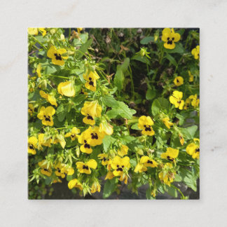 Tarjeta De Visita Cuadrada Yellow Wildflower Garden Nature Photography Square