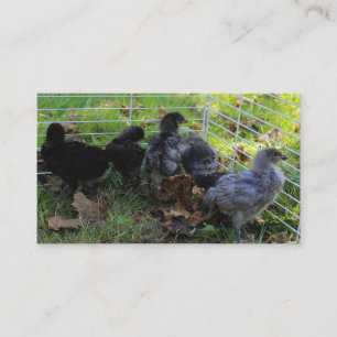 Tarjeta De Visita Cuál está para arriba - extremo del pollo