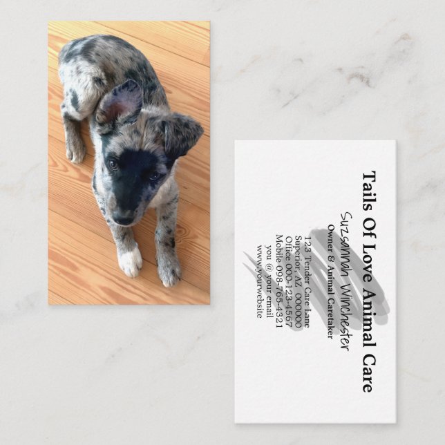 Tarjeta De Visita Cuidado Animal Añadir su Personalizado fotográfico (Anverso / Reverso)