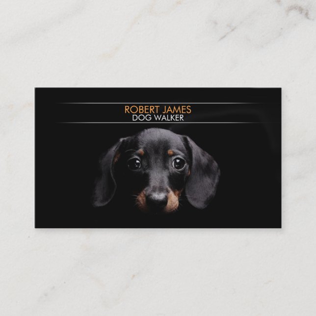 Tarjeta De Visita Cuidado de animales de compañía elegante, sentada (Anverso)