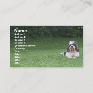 Tarjeta De Visita Cuidado de animales de compañía/tarjeta de visit