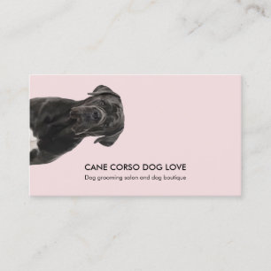 Tarjeta De Visita Cuidado de Perro Cane Corso Paseando Mascotas Cuid