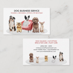 Tarjeta De Visita Cuidado Profesional de Mascotas Visita a Domicilio