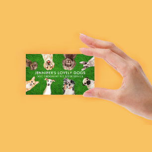 Tarjeta De Visita Cuidador de Mascotas Perros Pequeños Lindos Césped