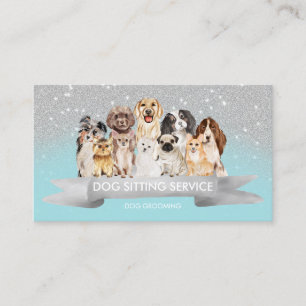 Tarjeta De Visita Cuidador de perros paseador de mascotas destellos