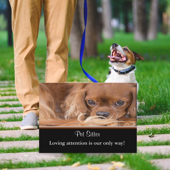 Tarjeta De Visita Cuidadora de Perros Ruby Cavalier King Charles Spa (Charming pet sitting business card - warmth, trust, and cuteness unleashed!)