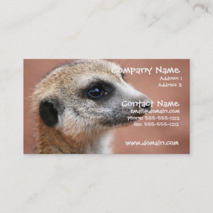 Tarjeta de visita curiosa de Meerkat