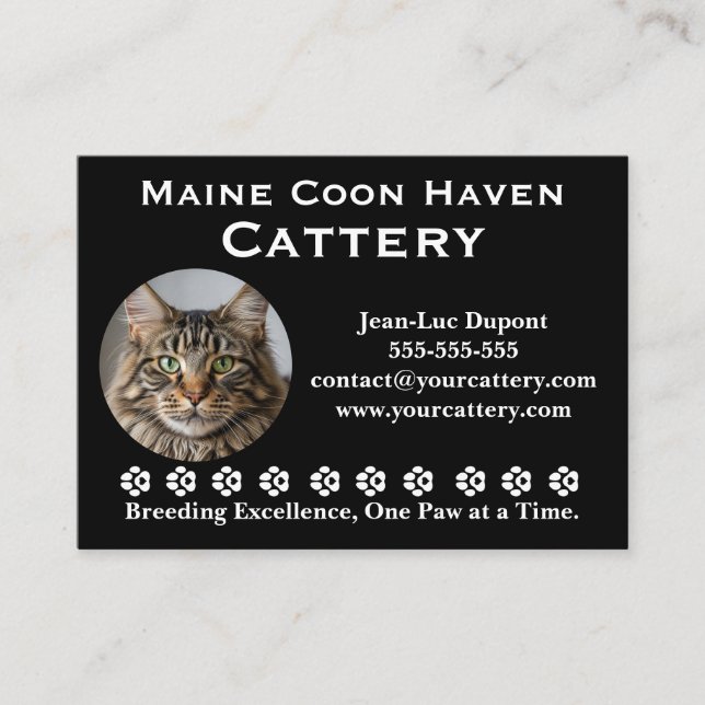 Tarjeta De Visita Customizable Maine Coon Cattery Business Card (Anverso)