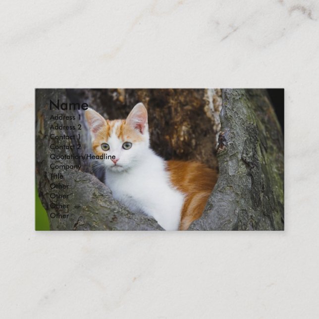 Tarjeta de visita Cute Brown and White Kitten (Anverso)
