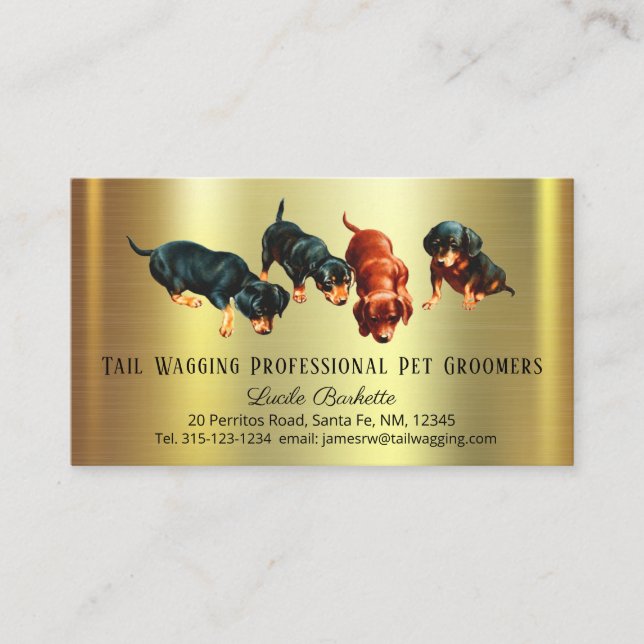 Tarjeta De Visita Cute Dachshund Doxie Pups Mascota Grooming Gold Mo (Anverso)