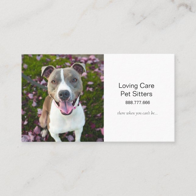 Tarjeta de visita Cute Dog Mascota Sitting and Ser (Anverso)