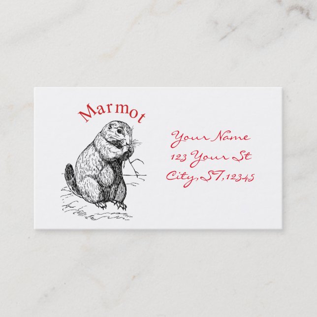 Tarjeta De Visita Cute Marmot Animal Thunder_Cove (Anverso)