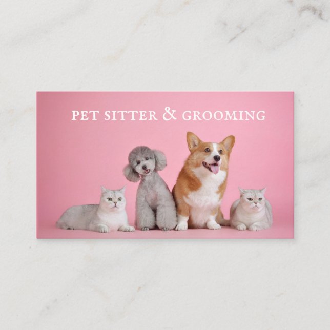 Tarjeta De Visita Cute Mascota Sitter Dog Grooming (Anverso)