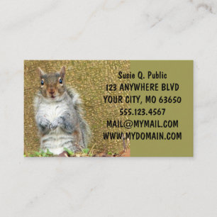 Tarjeta De Visita Cute Squirrel
