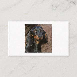 Tarjeta De Visita dachshund negro y marrón