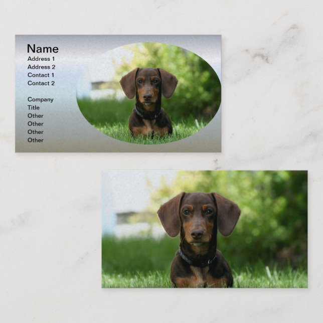 Tarjeta De Visita Dachshund Puppy (Anverso / Reverso)