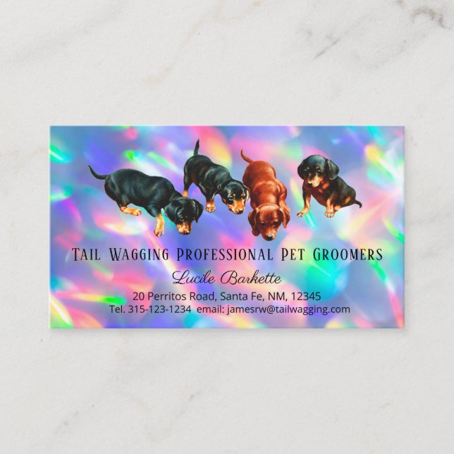 Tarjeta De Visita Dachshund Pups Mascota Grooming Holographic Rainbo (Anverso)