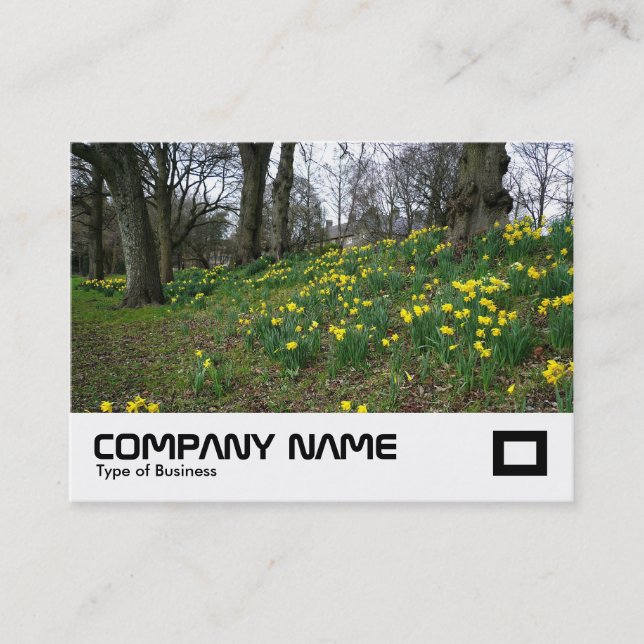 Tarjeta De Visita Daffodils Bute Park, Cardiff (Anverso)