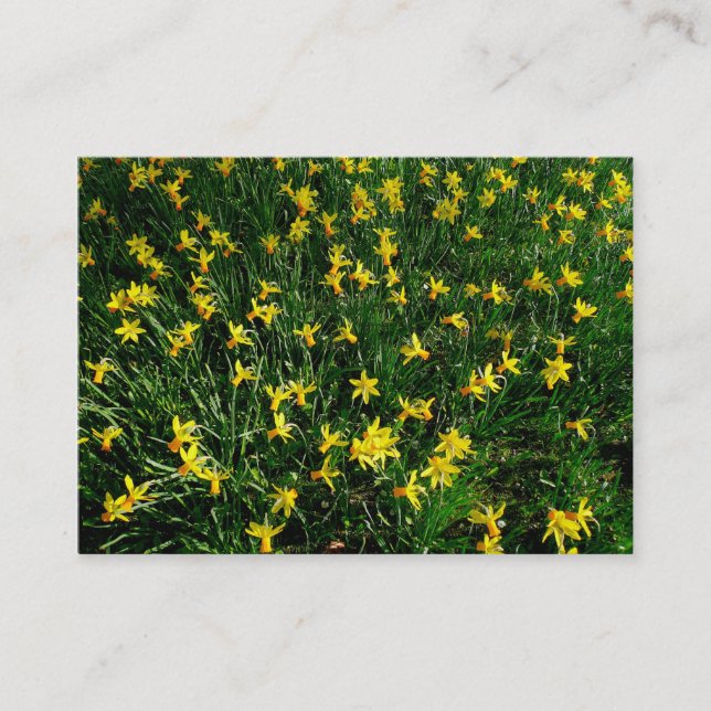 Tarjeta De Visita Daffodils/Narcissus (Anverso)