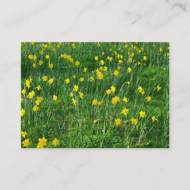Tarjeta De Visita Daffodils/Narcissus (Anverso)