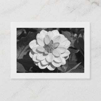 Tarjeta De Visita Dahlia 'David Howard' (bordeada)