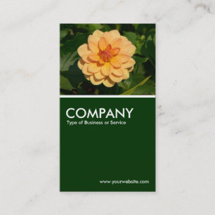 Tarjeta De Visita Dahlia 'David Howard' - Verde oscuro