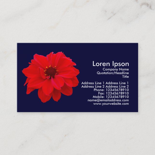 Tarjeta De Visita Dahlia, Obispo de Llandaff - Azul de la Marina Osc (Anverso)