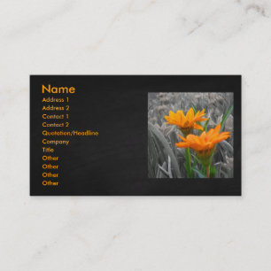 Tarjeta De Visita Daisies Business Card