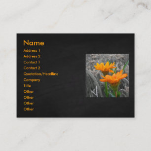 Tarjeta De Visita Daisies Business Card