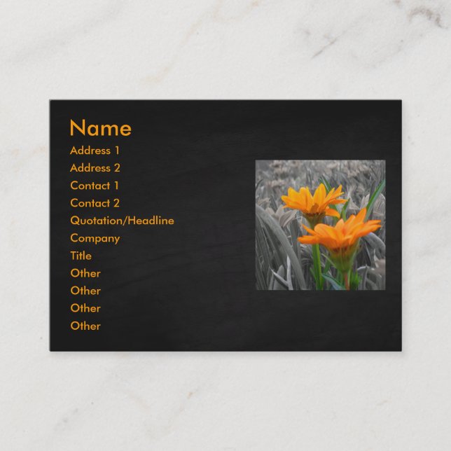 Tarjeta De Visita Daisies Business Card (Anverso)