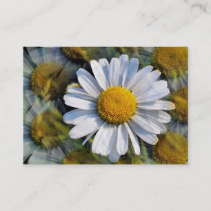 TARJETA DE VISITA DAISY